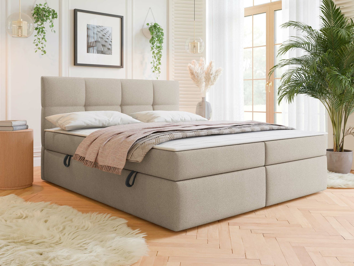 Cama continental 541393