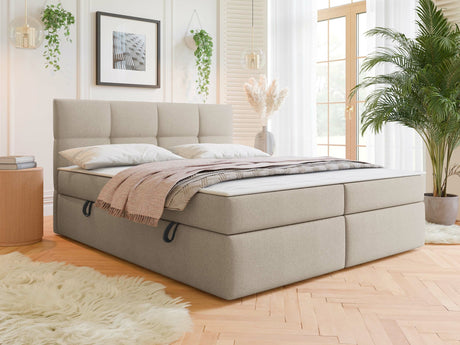 Cama continental 541393