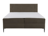 Cama continental 640907