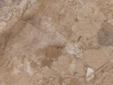 Mesa 498471 4596459
