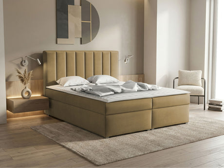 Cama continental 320788 4619144