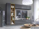Conjunto de salón 447403 4628998