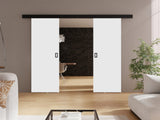 Puerta corredera 514891 4634907