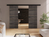 Puerta corredera 514891 4634913