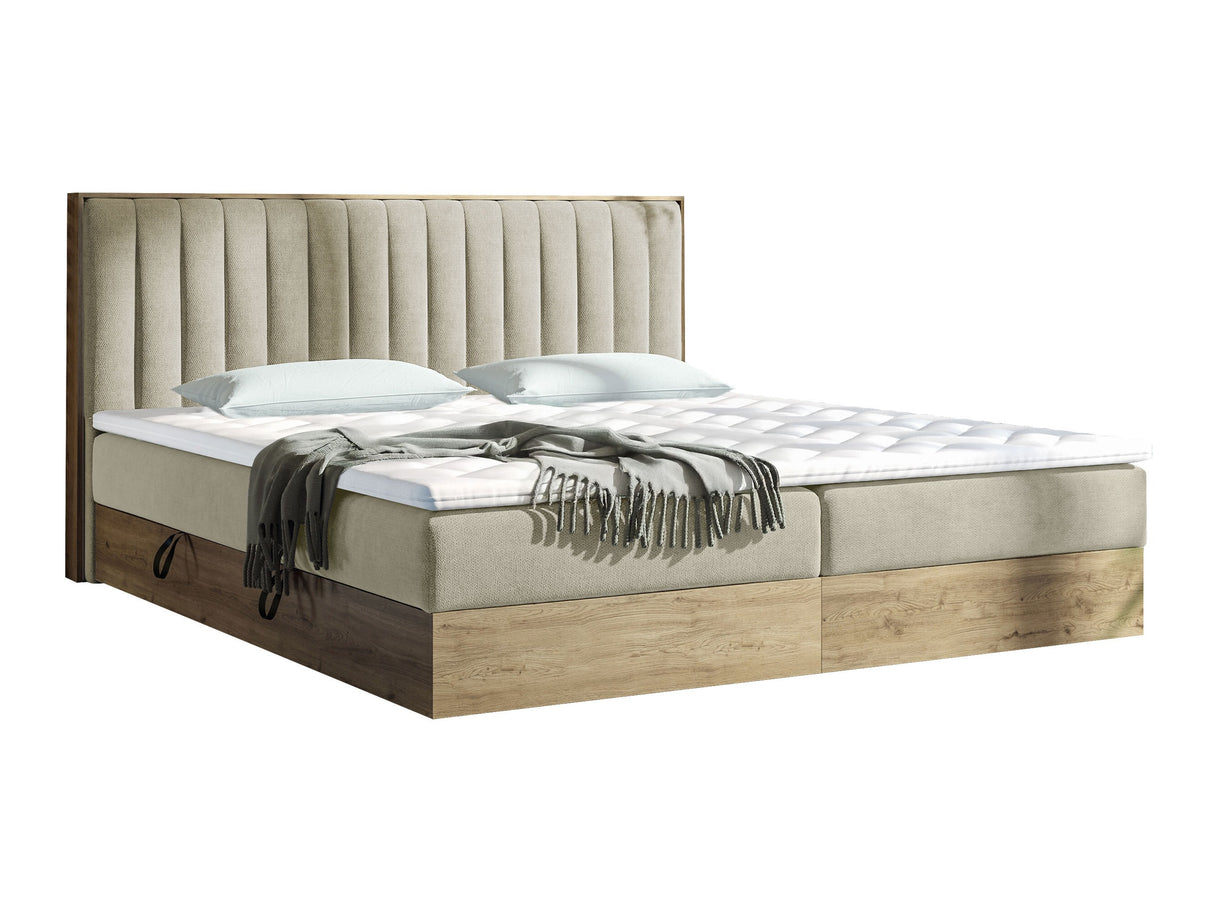 Cama continental 370126 4650102