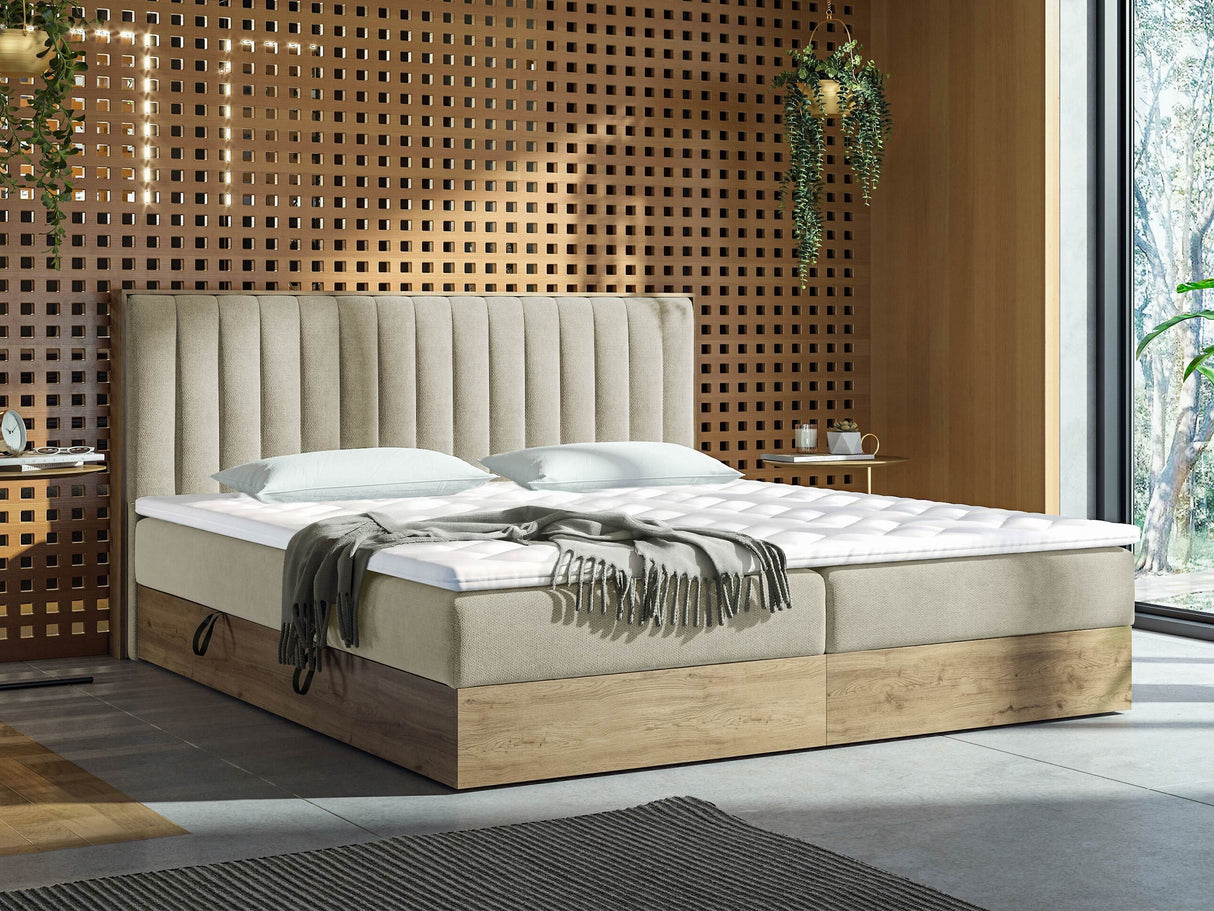 Cama continental 370126 4650113