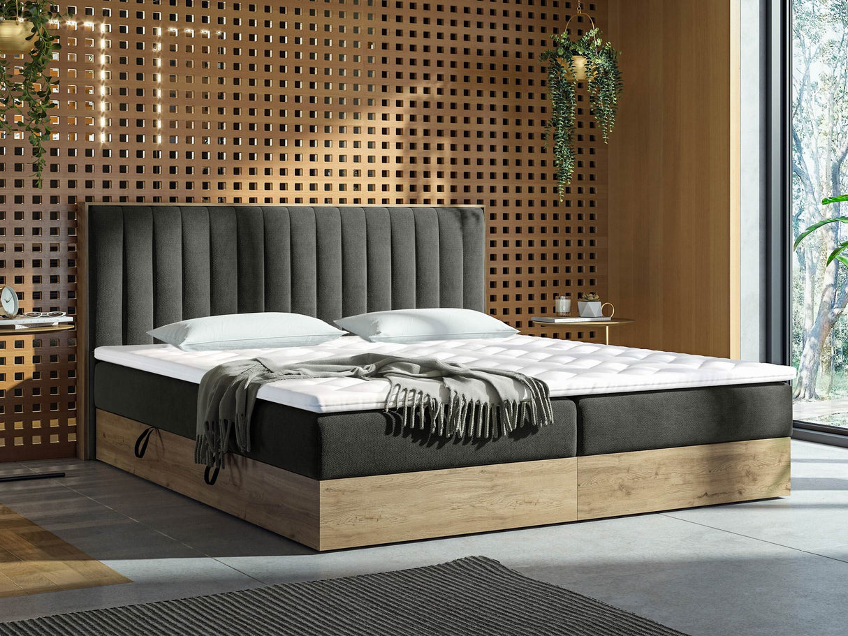 Cama continental 370126 4650118