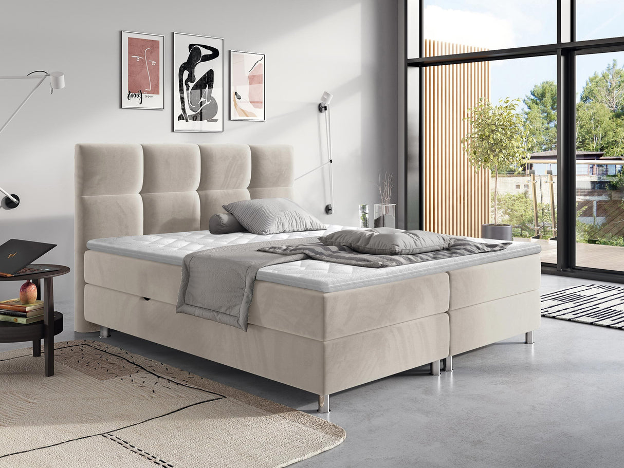 Cama continental 206691 4650298
