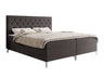 Cama continental 650101