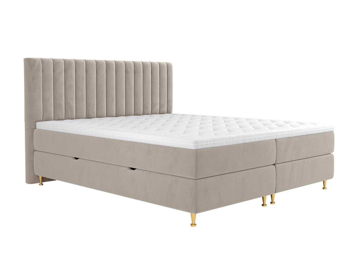 Cama continental 294981 4796756