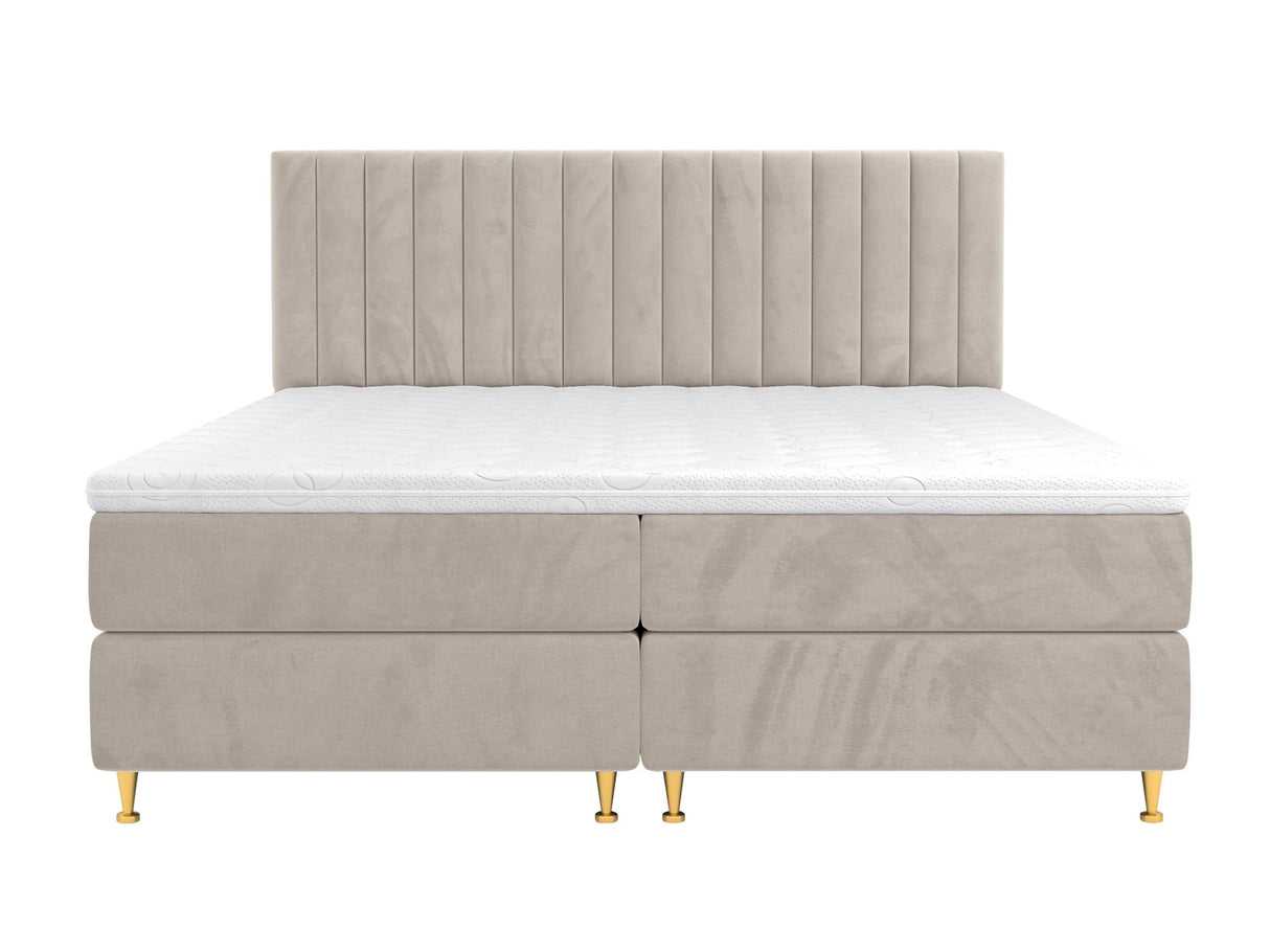 Cama continental 294981 4796759