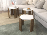 Conjunto mesa de centro 663137