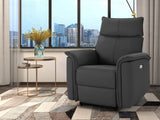 Sillón reclinable 456297