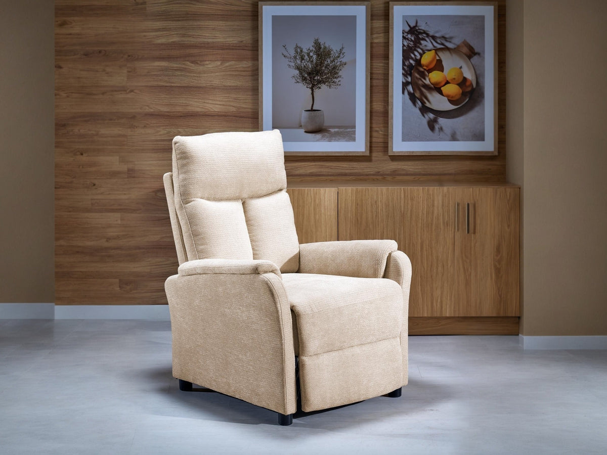 Sillón reclinable 687838