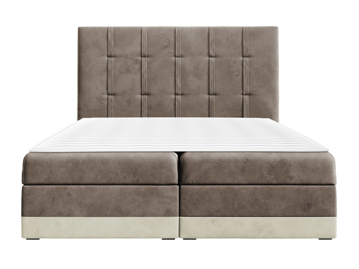 Cama continental 233823 5146545