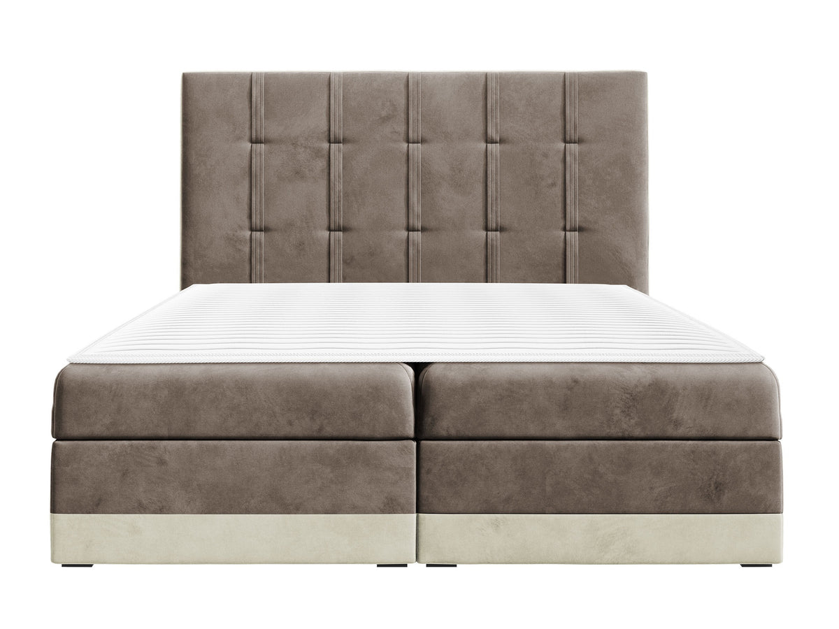 Cama continental 233823 5146563