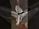 Silla 432179 LLbpU_tkQQk